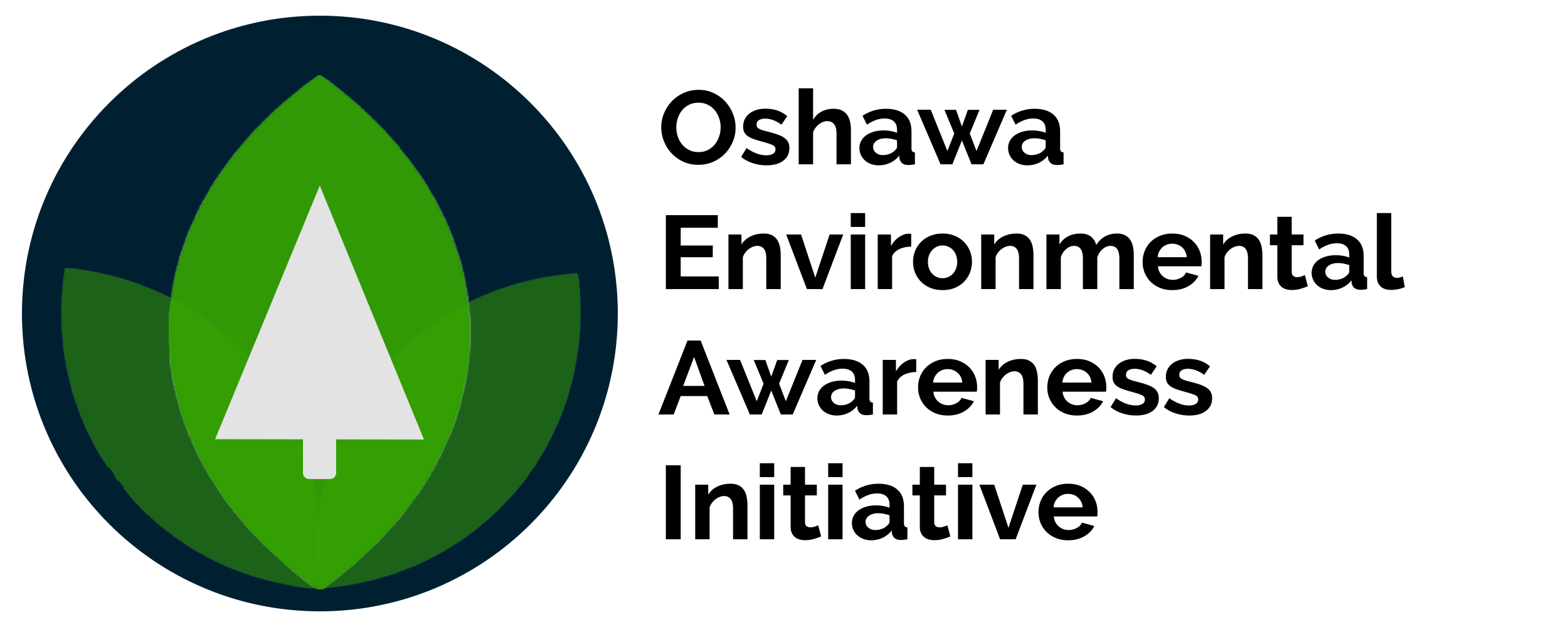 big logo
